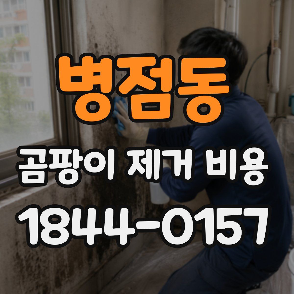 병점동 곰팡이 제거 비용
