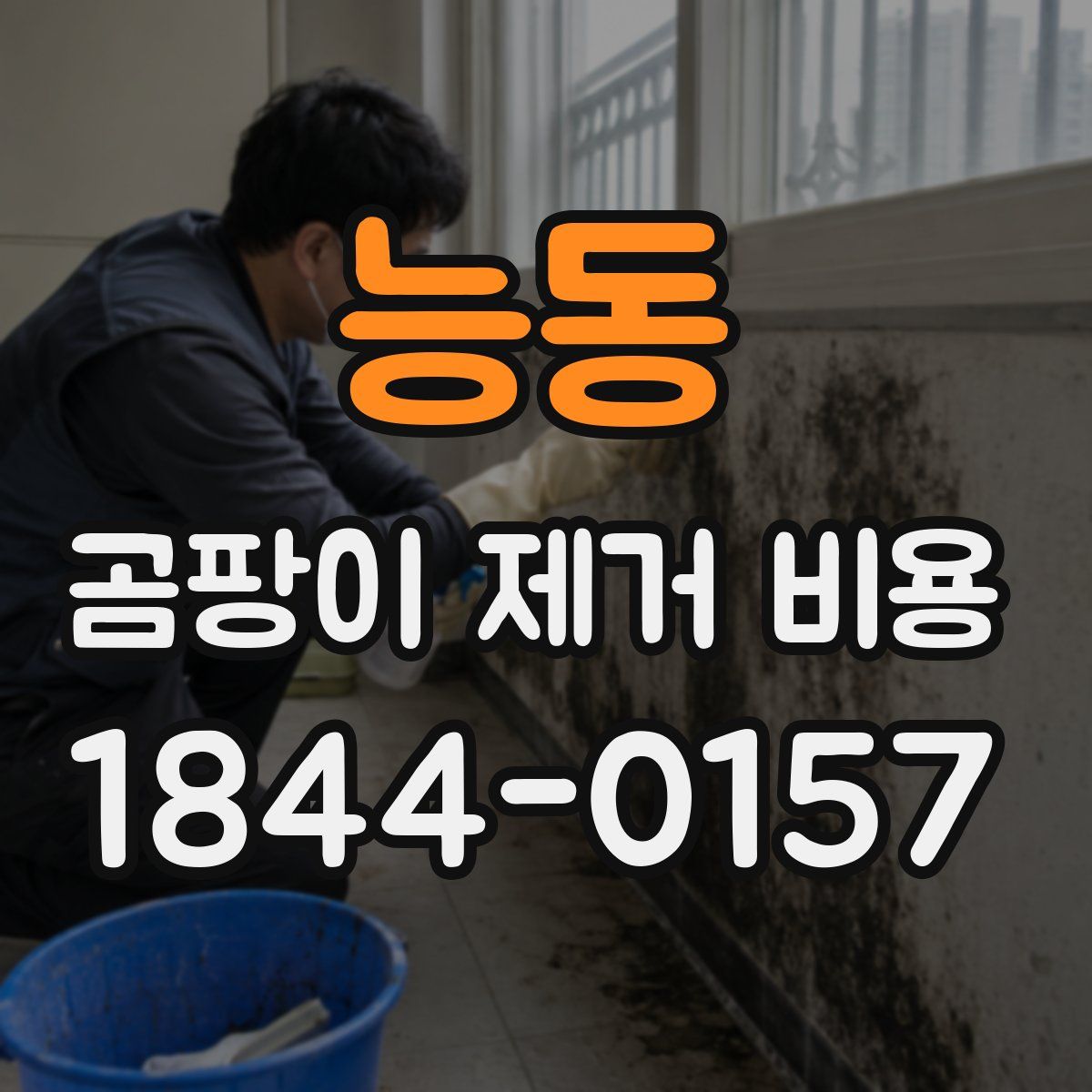 능동 곰팡이 제거 비용
