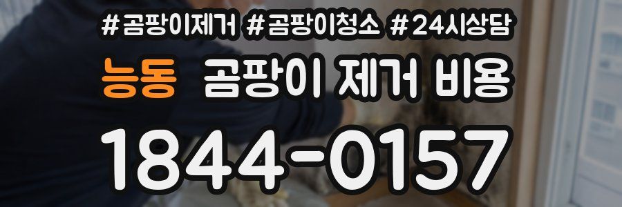 능동 곰팡이 제거 비용