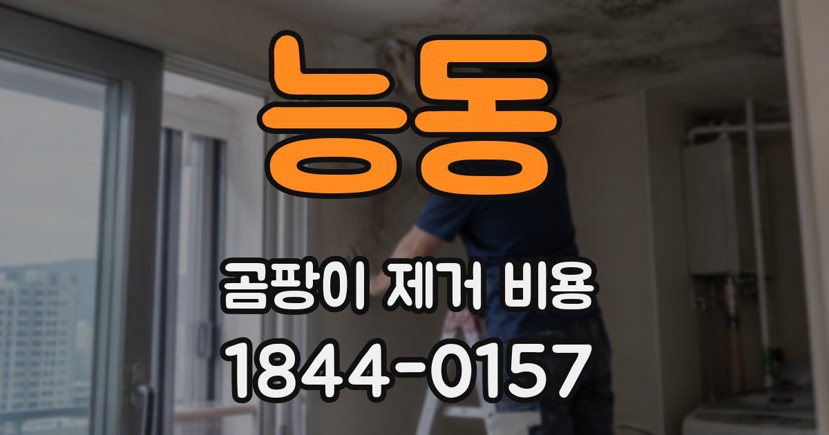 능동 곰팡이 제거 비용