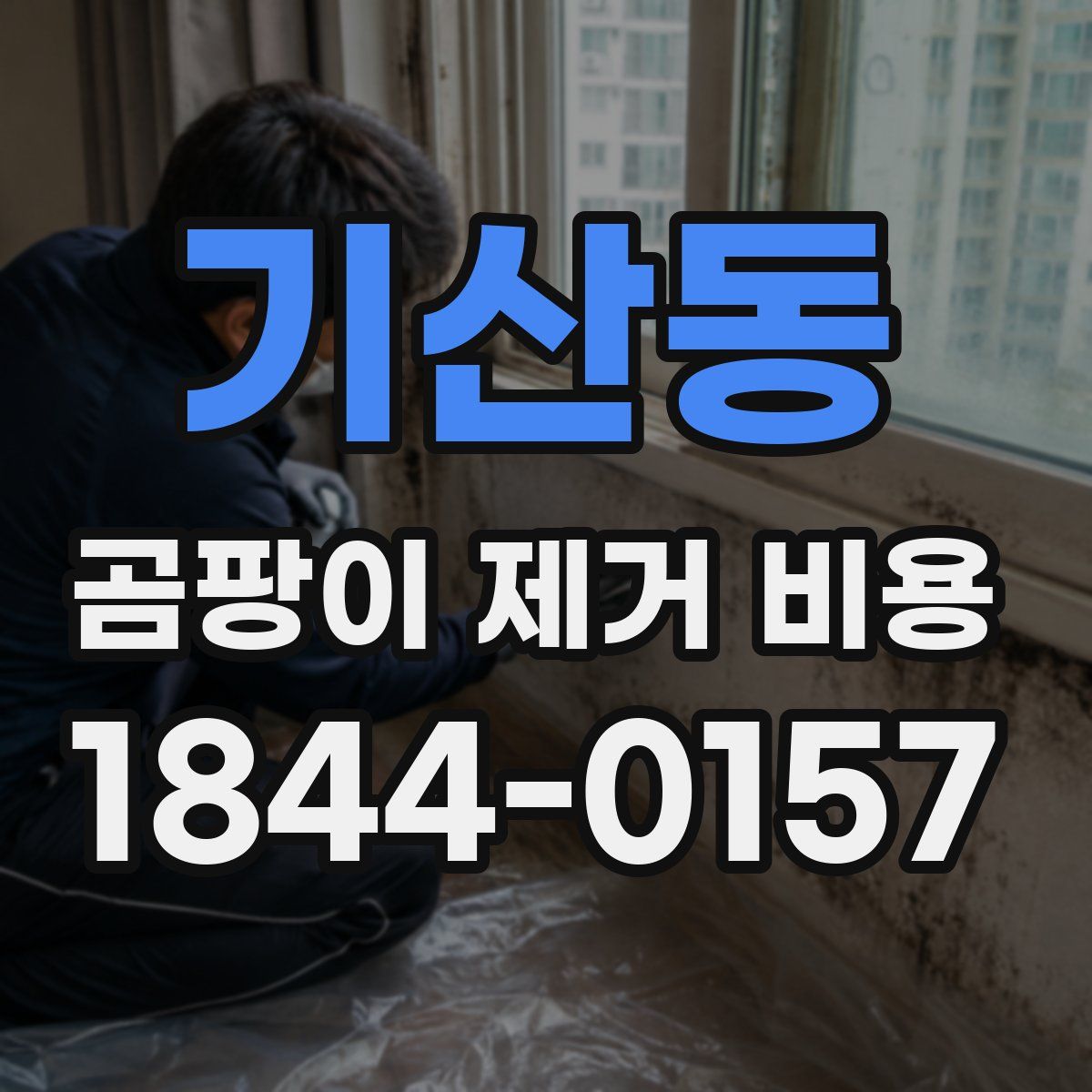 기산동 곰팡이 제거 비용