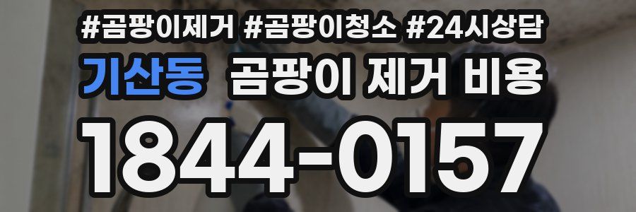 기산동 곰팡이 제거 비용