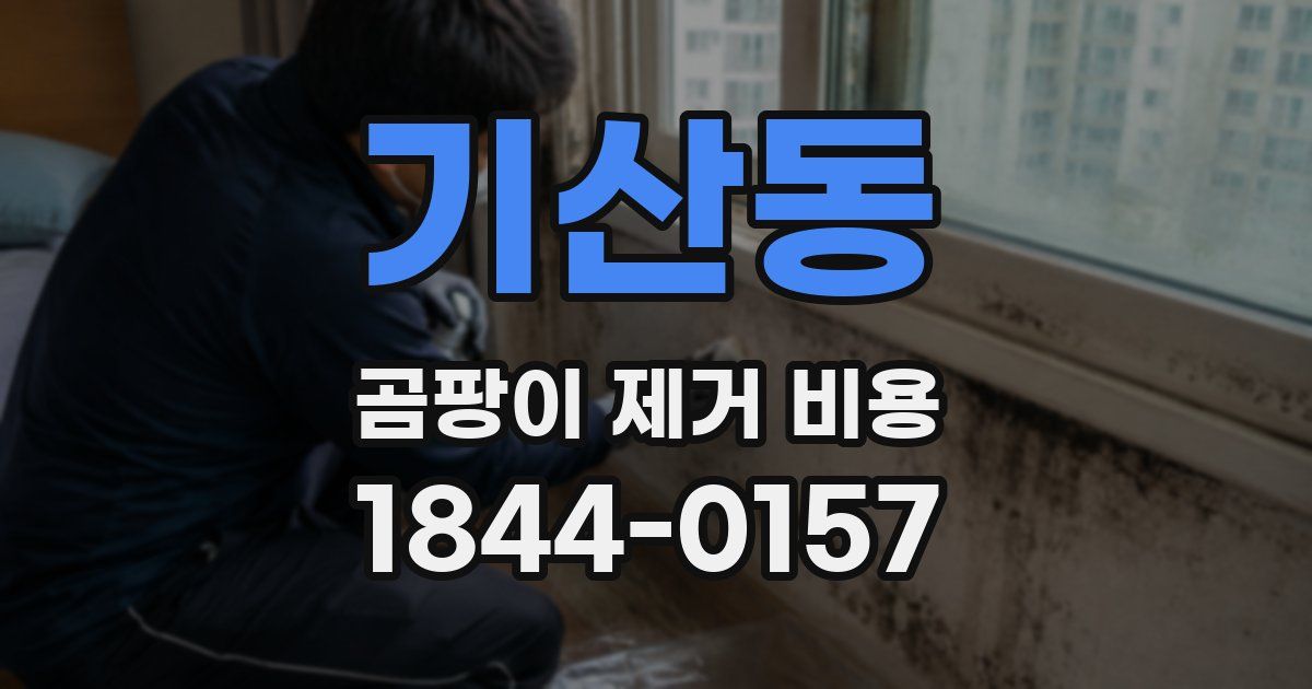 기산동 곰팡이 제거 비용
