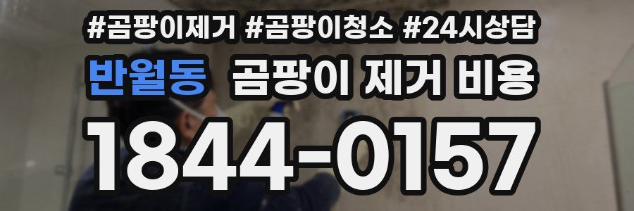 반월동 곰팡이 제거 비용