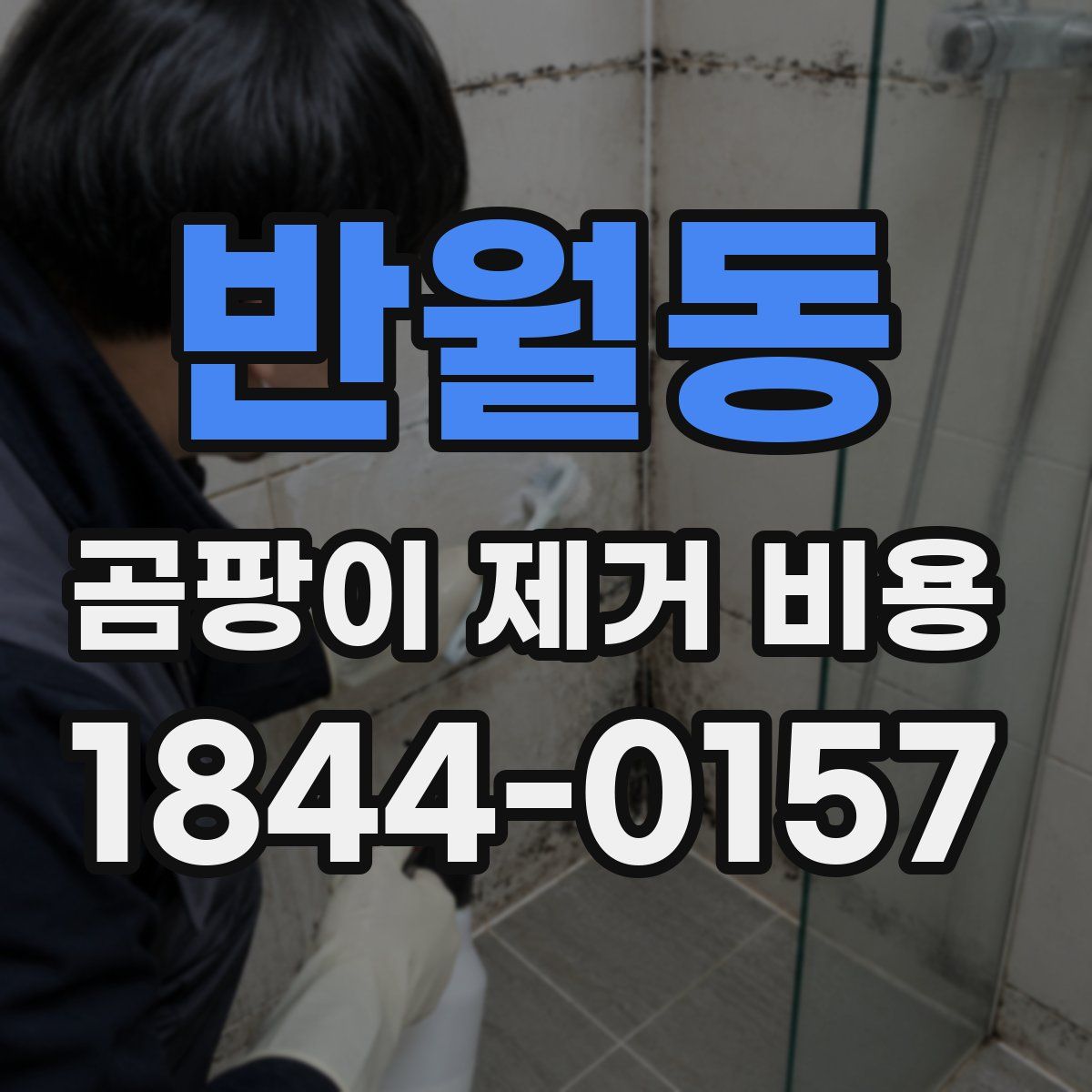 반월동 곰팡이 제거 비용