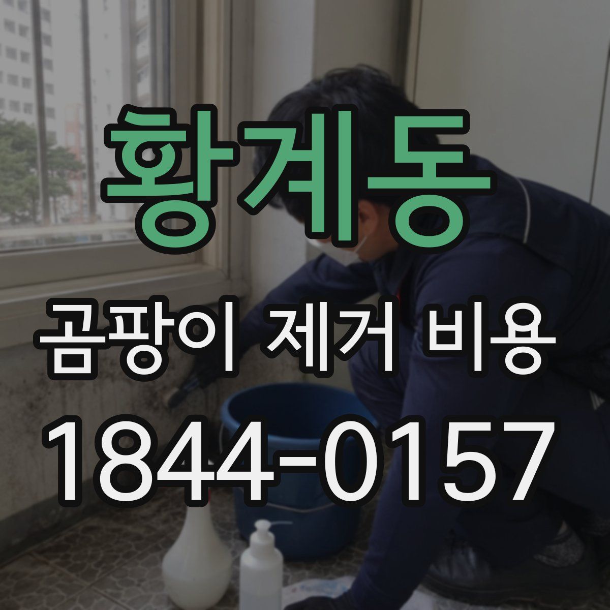 황계동 곰팡이 제거 비용