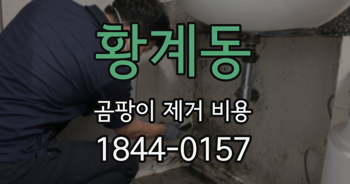 황계동 곰팡이 제거 비용