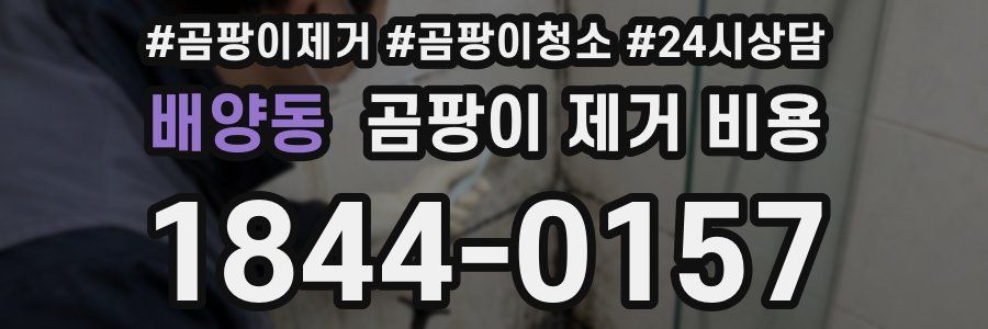 배양동 곰팡이 제거 비용