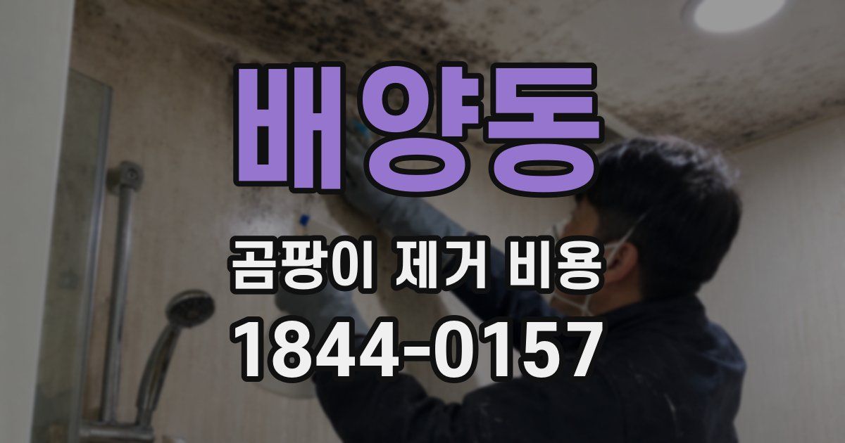 배양동 곰팡이 제거 비용