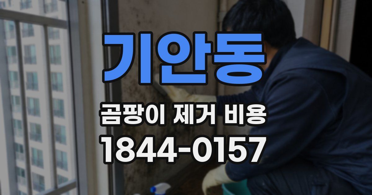 기안동 곰팡이 제거 비용
