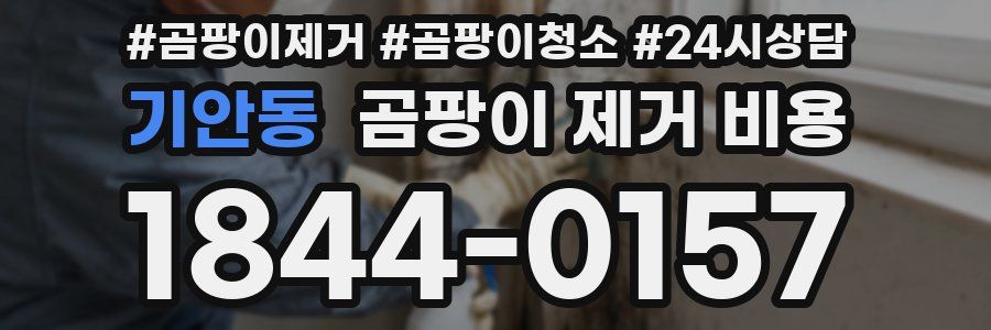 기안동 곰팡이 제거 비용