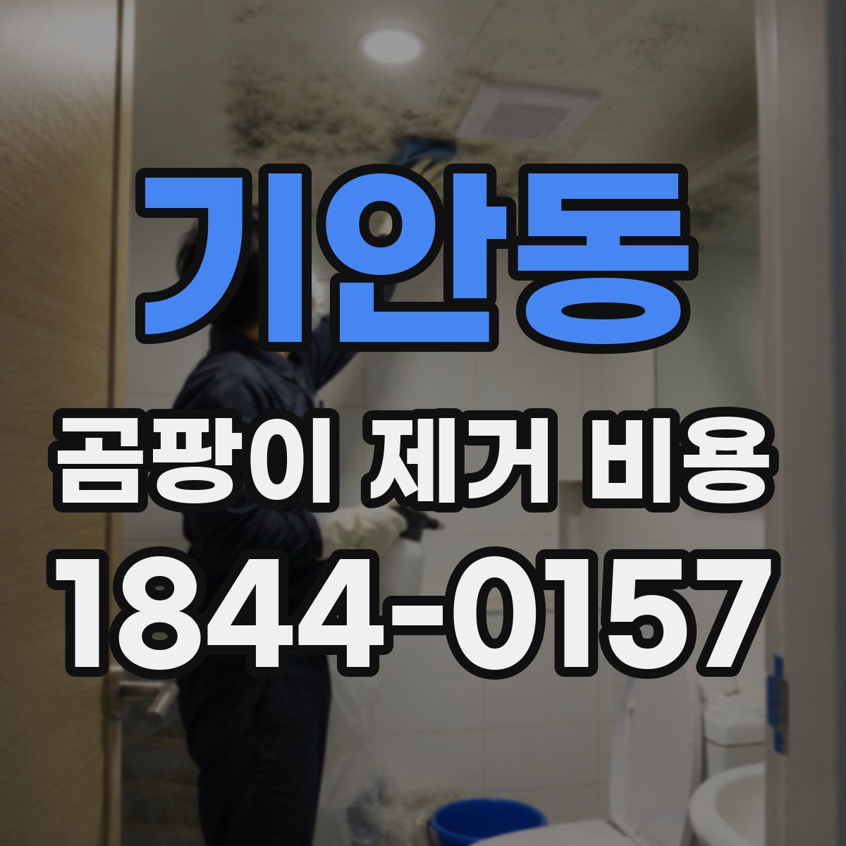 기안동 곰팡이 제거 비용