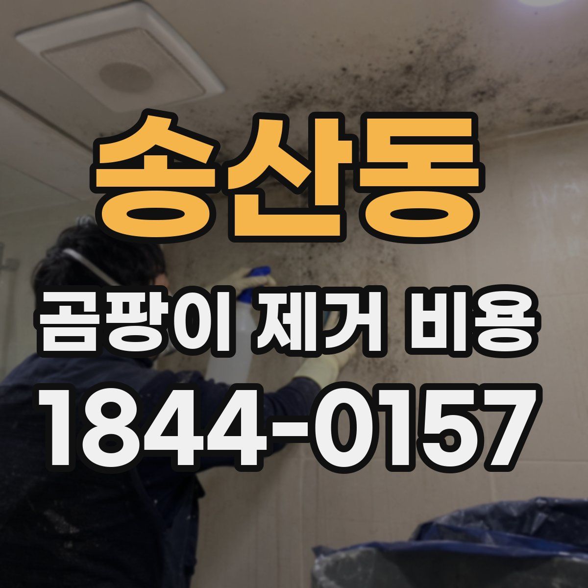 송산동 곰팡이 제거 비용