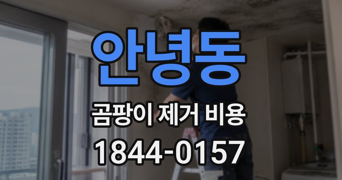 안녕동 곰팡이 제거 비용