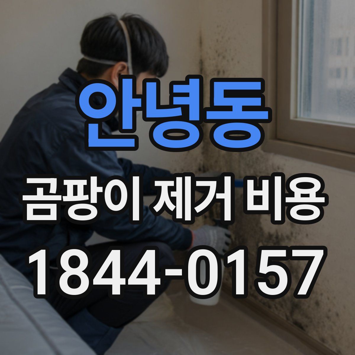 안녕동 곰팡이 제거 비용