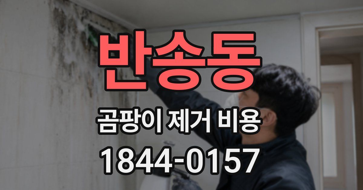 반송동 곰팡이 제거 비용