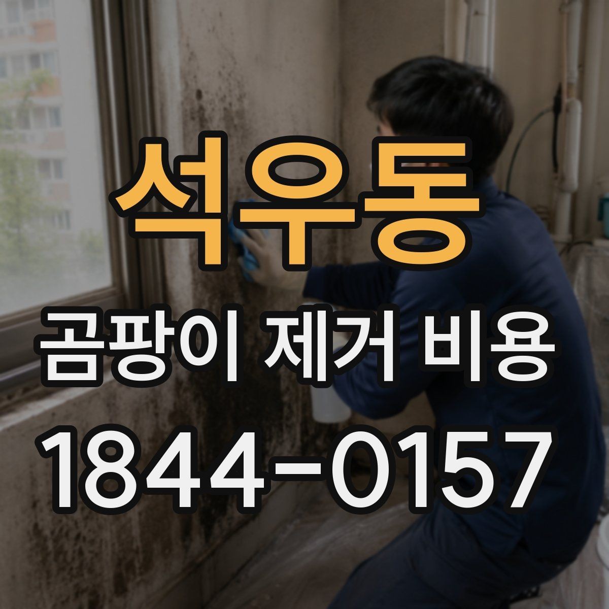 석우동 곰팡이 제거 비용 결로가 반복되는 집에서 달라지는 항목