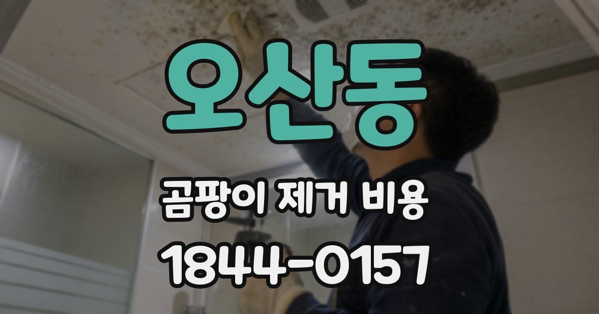 오산동 곰팡이 제거 비용