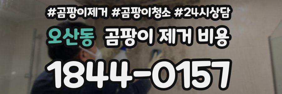 오산동 곰팡이 제거 비용