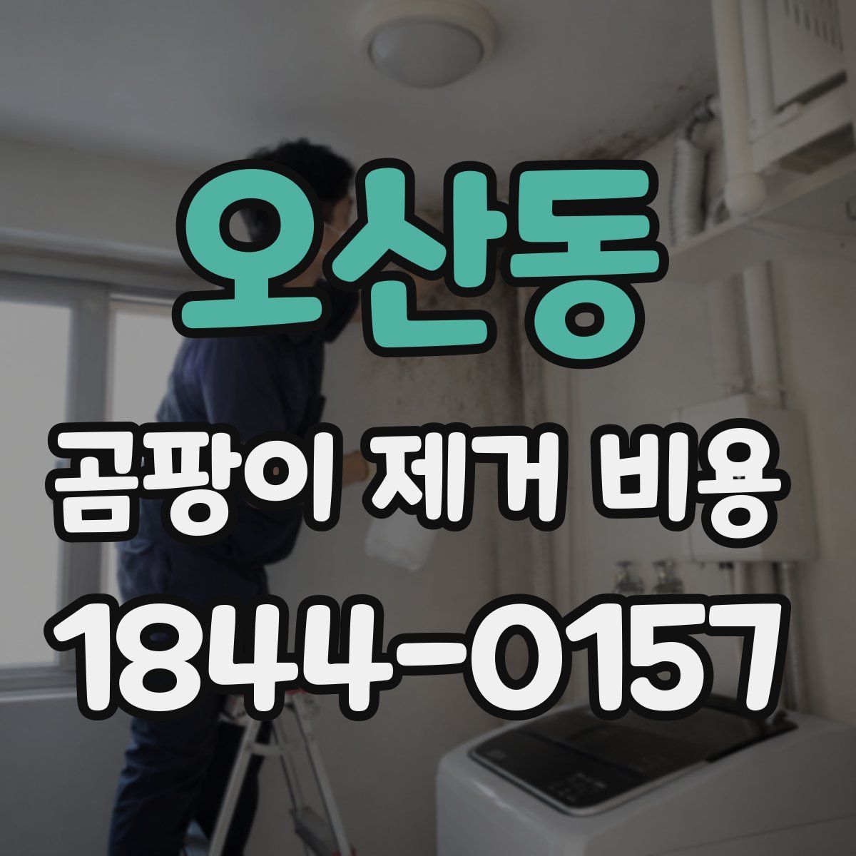 오산동 곰팡이 제거 비용