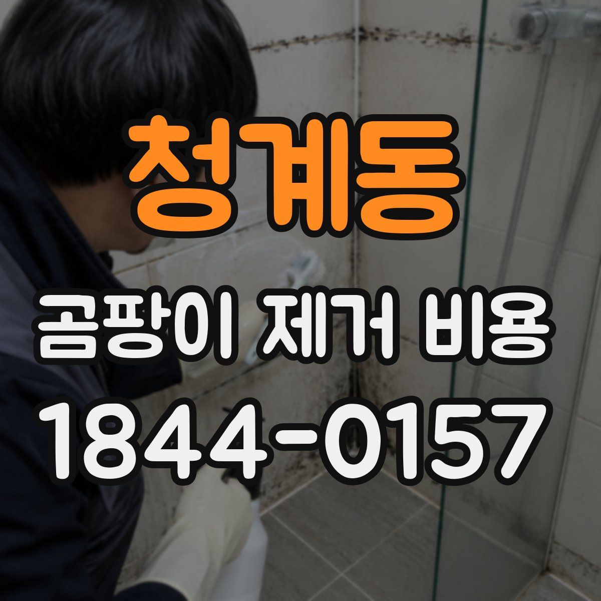 청계동 곰팡이 제거 비용