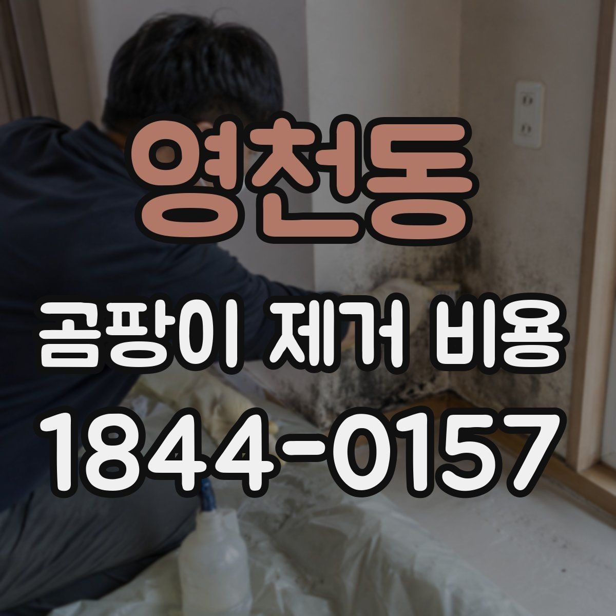 영천동 곰팡이 제거 비용 현장 점검 뒤 추가 비용이 생기는 이유