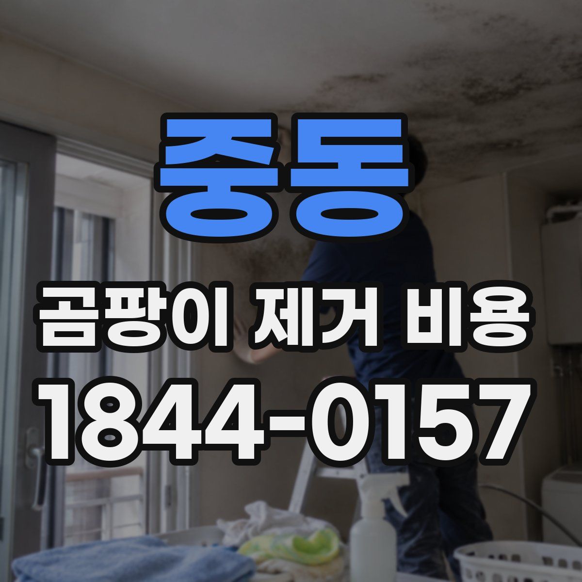 중동 곰팡이 제거 비용