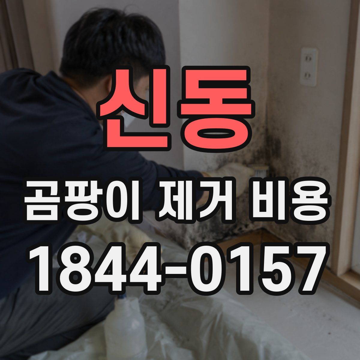 신동 곰팡이 제거 비용