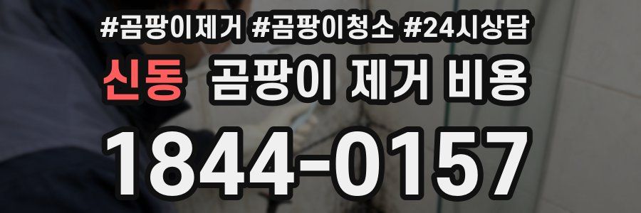 신동 곰팡이 제거 비용