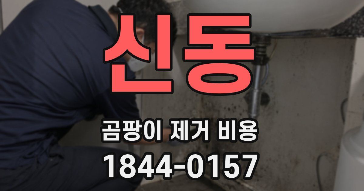 신동 곰팡이 제거 비용
