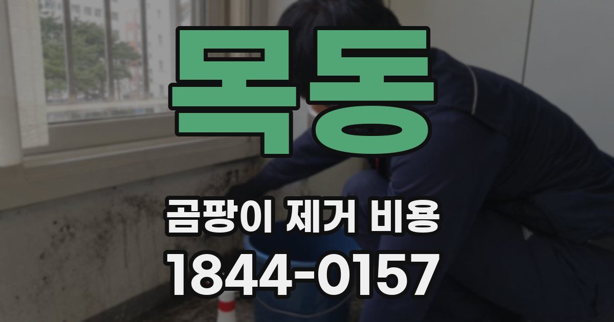 목동 곰팡이 제거 비용