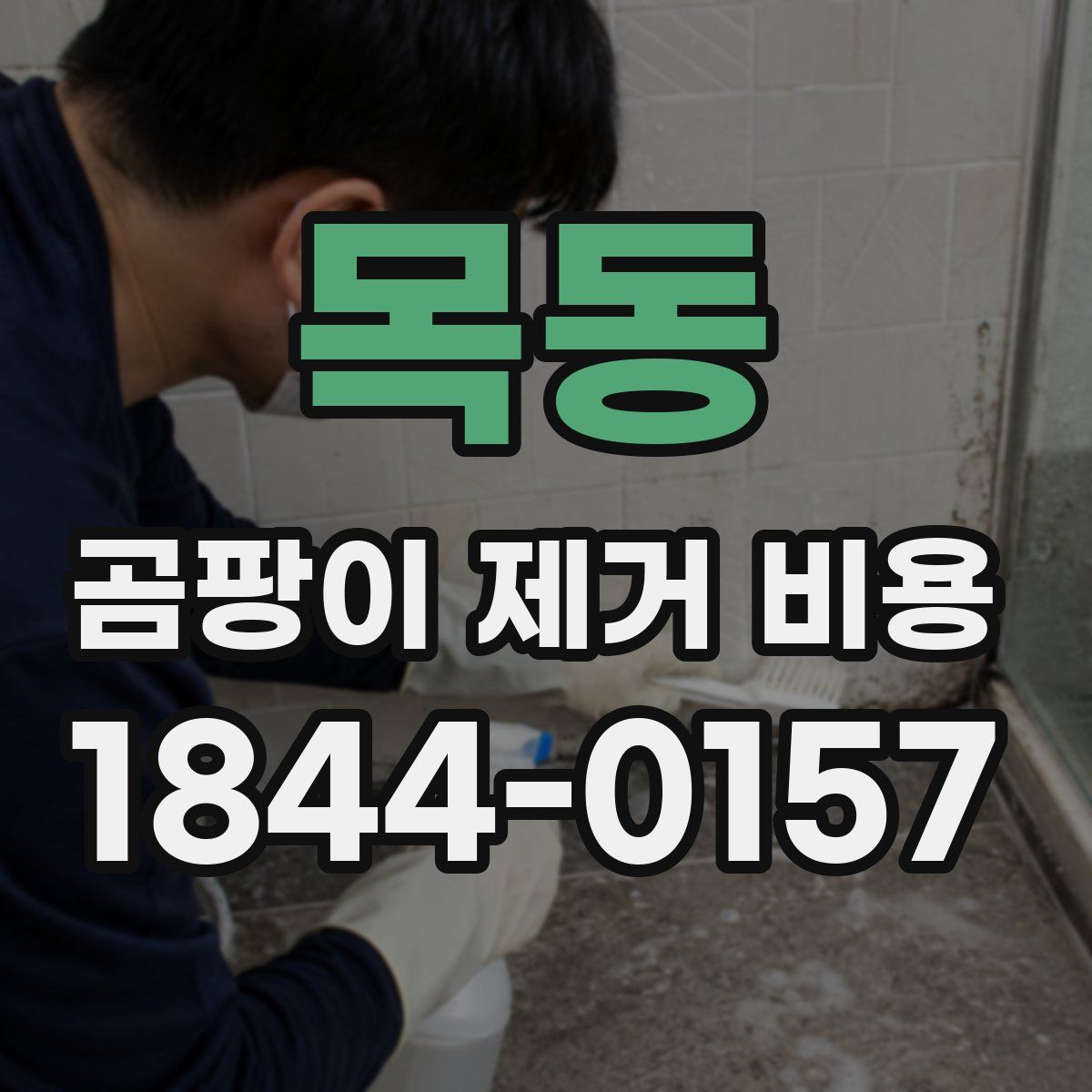 목동 곰팡이 제거 비용
