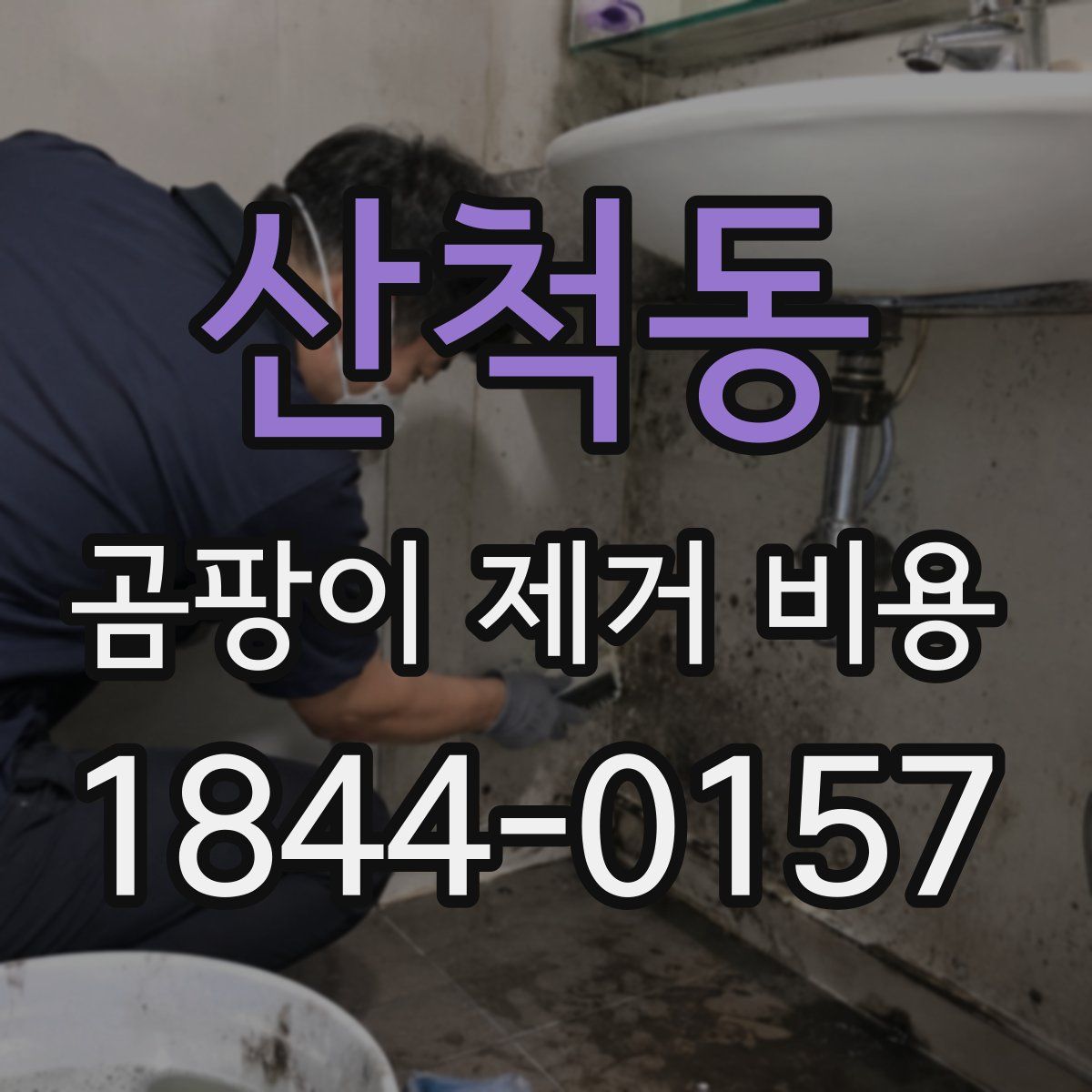 산척동 곰팡이 제거 비용