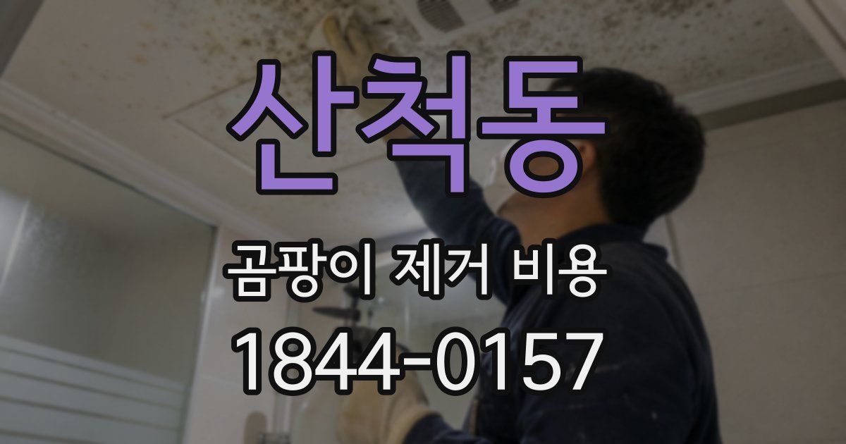 산척동 곰팡이 제거 비용