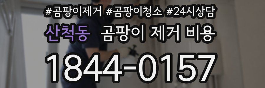 산척동 곰팡이 제거 비용