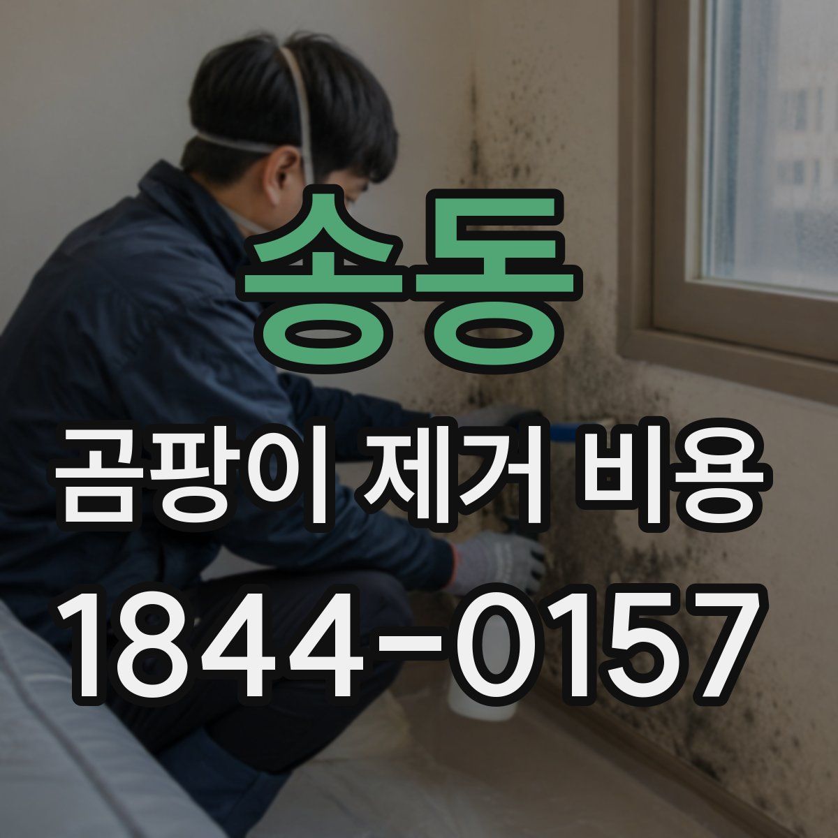 송동 곰팡이 제거 비용