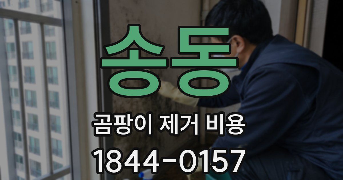 송동 곰팡이 제거 비용