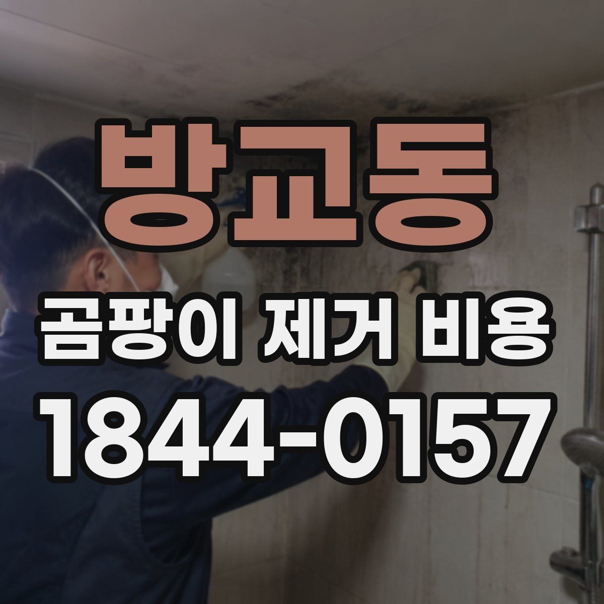 방교동 곰팡이 제거 비용 부분 보수와 전체 보수의 차이 정리