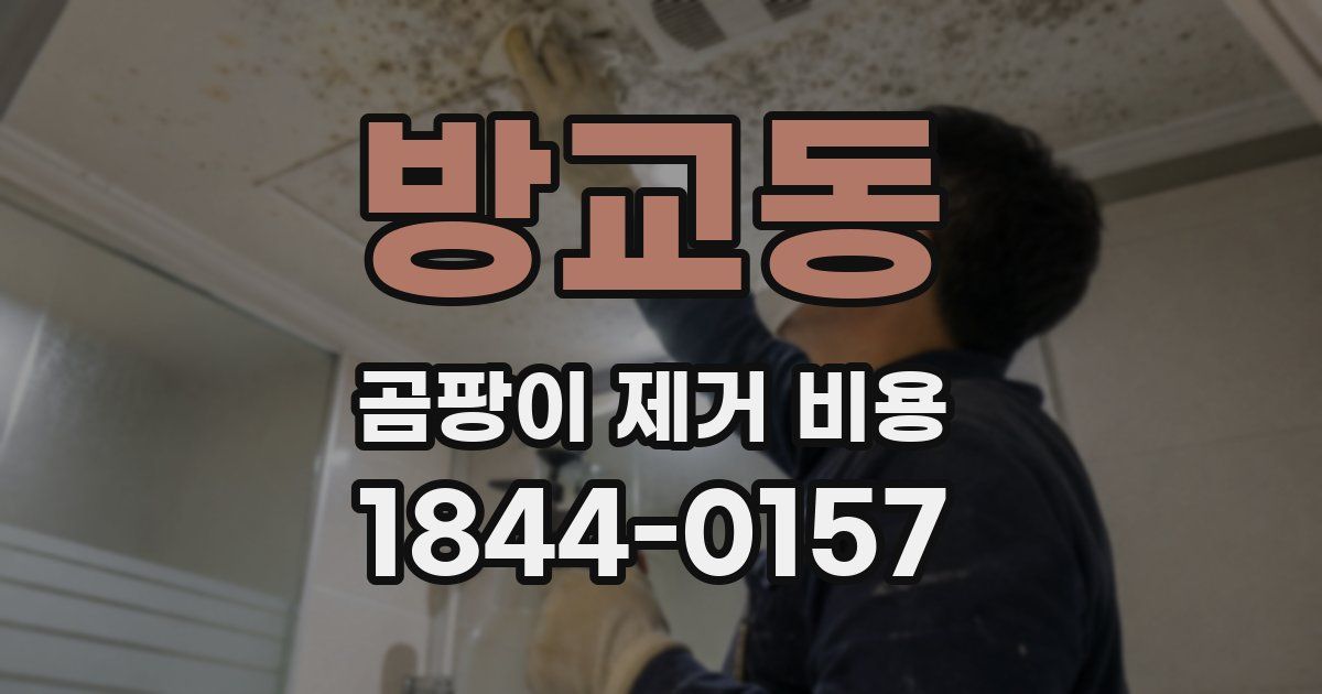 방교동 곰팡이 제거 비용