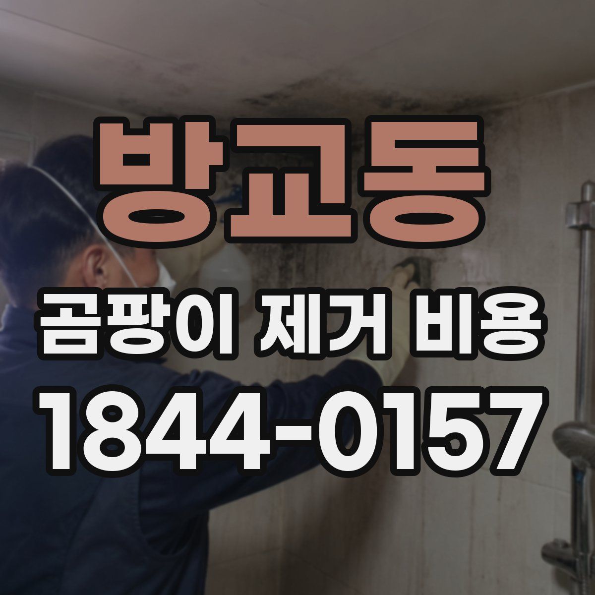 방교동 곰팡이 제거 비용