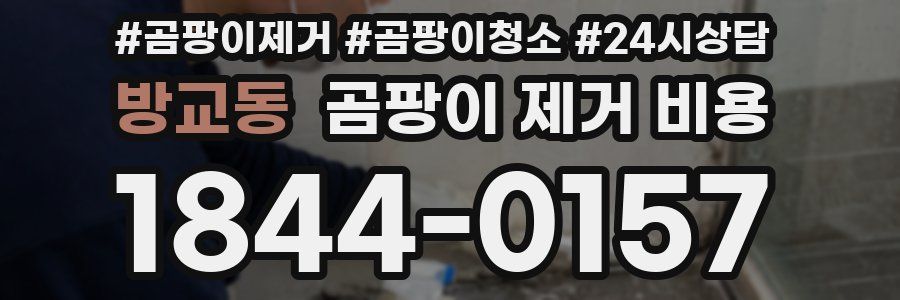 방교동 곰팡이 제거 비용