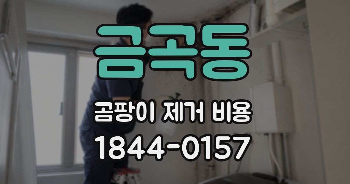 금곡동 곰팡이 제거 비용