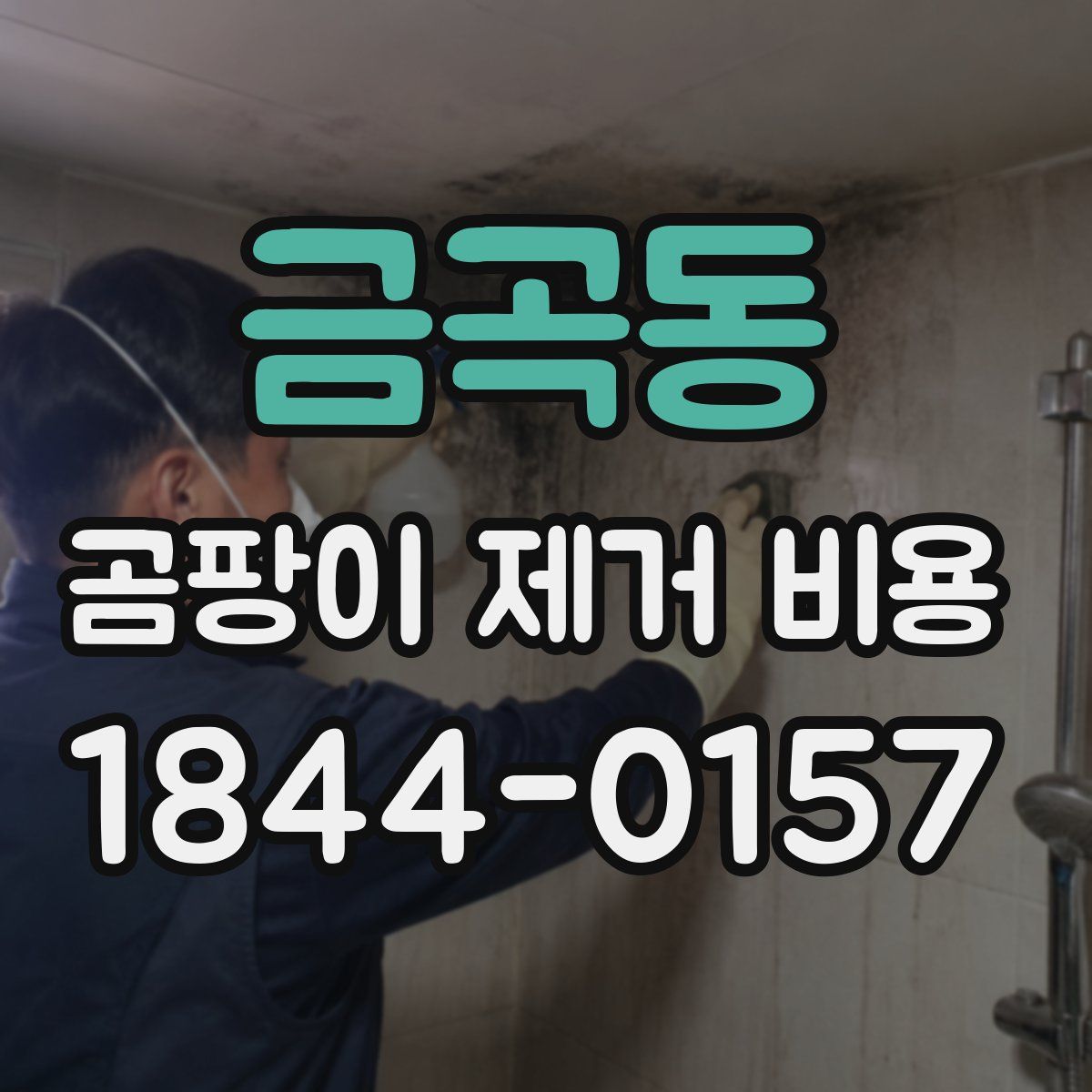 금곡동 곰팡이 제거 비용