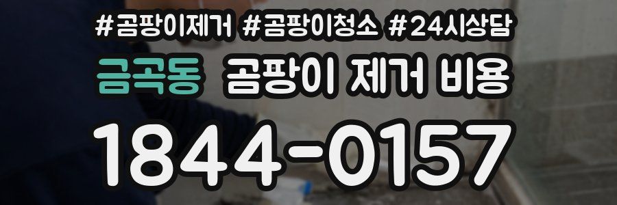 금곡동 곰팡이 제거 비용