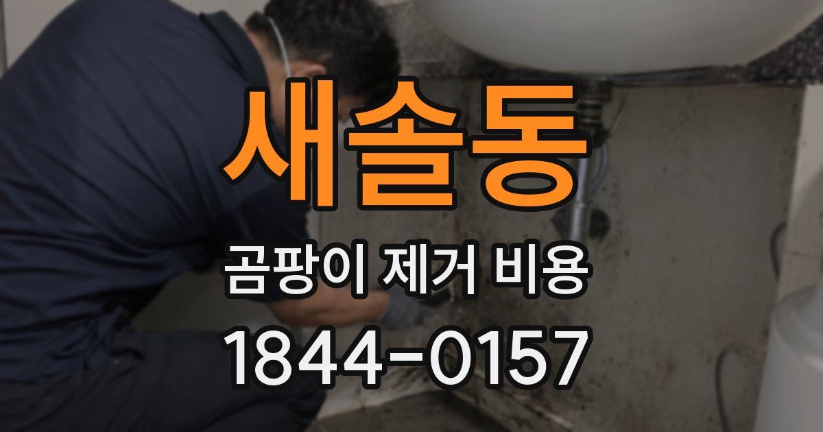 새솔동 곰팡이 제거 비용