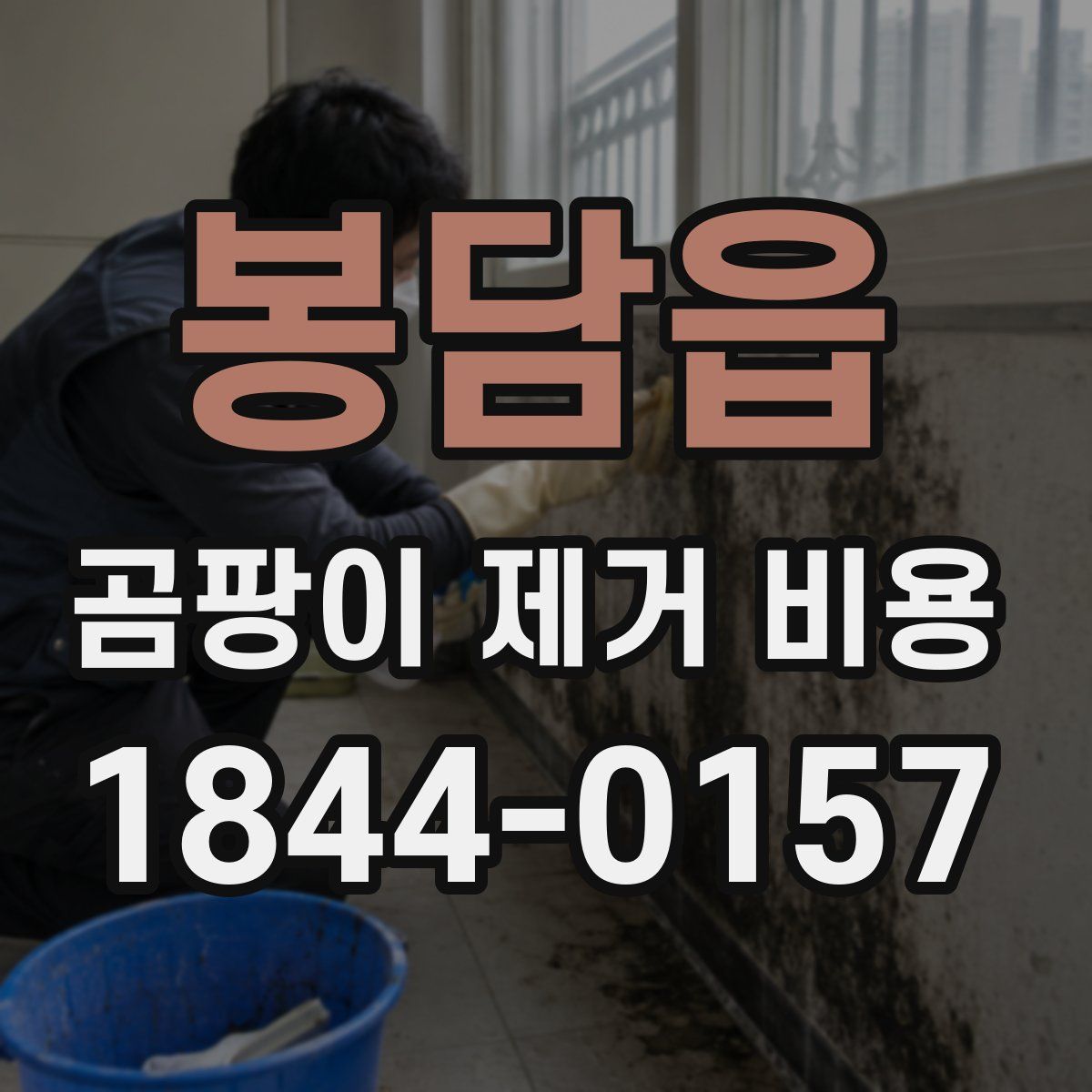 봉담읍 곰팡이 제거 비용