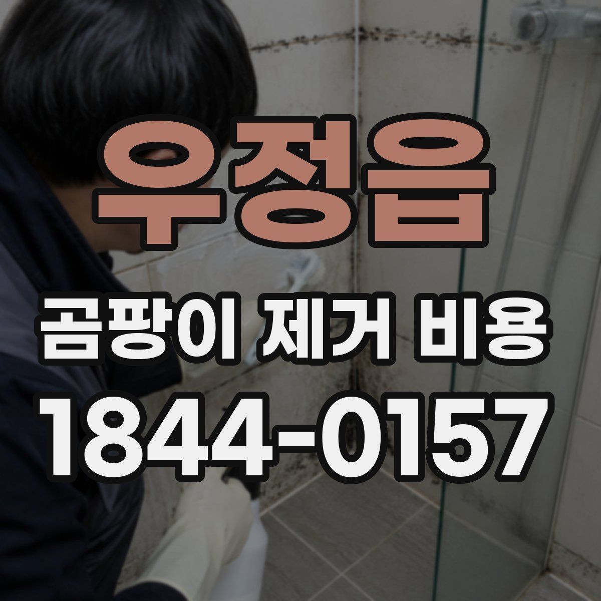 우정읍 곰팡이 제거 비용 벽지와 천장 시공별 차이 정리