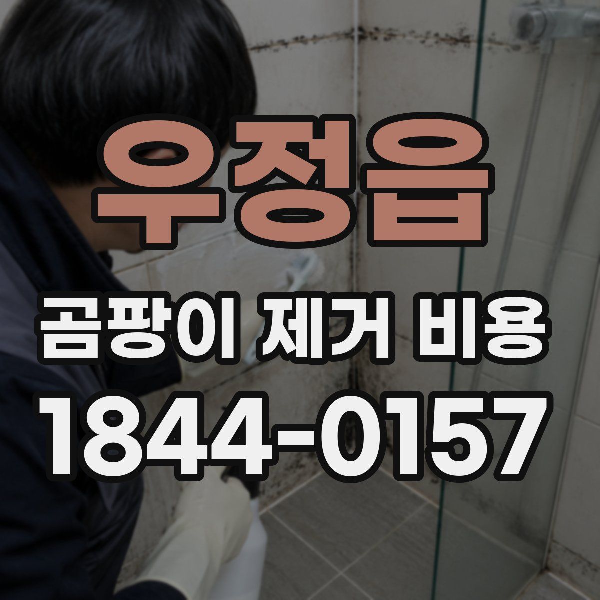 우정읍 곰팡이 제거 비용