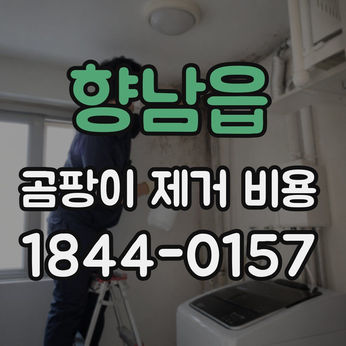 향남읍 곰팡이 제거 비용