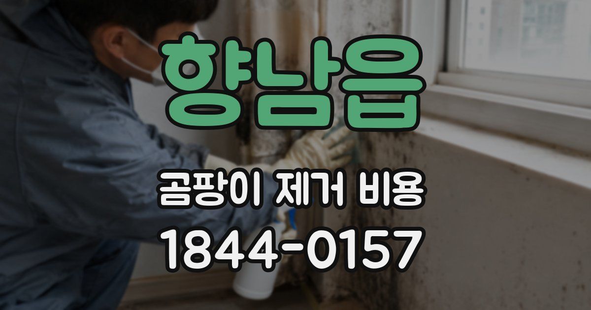 향남읍 곰팡이 제거 비용